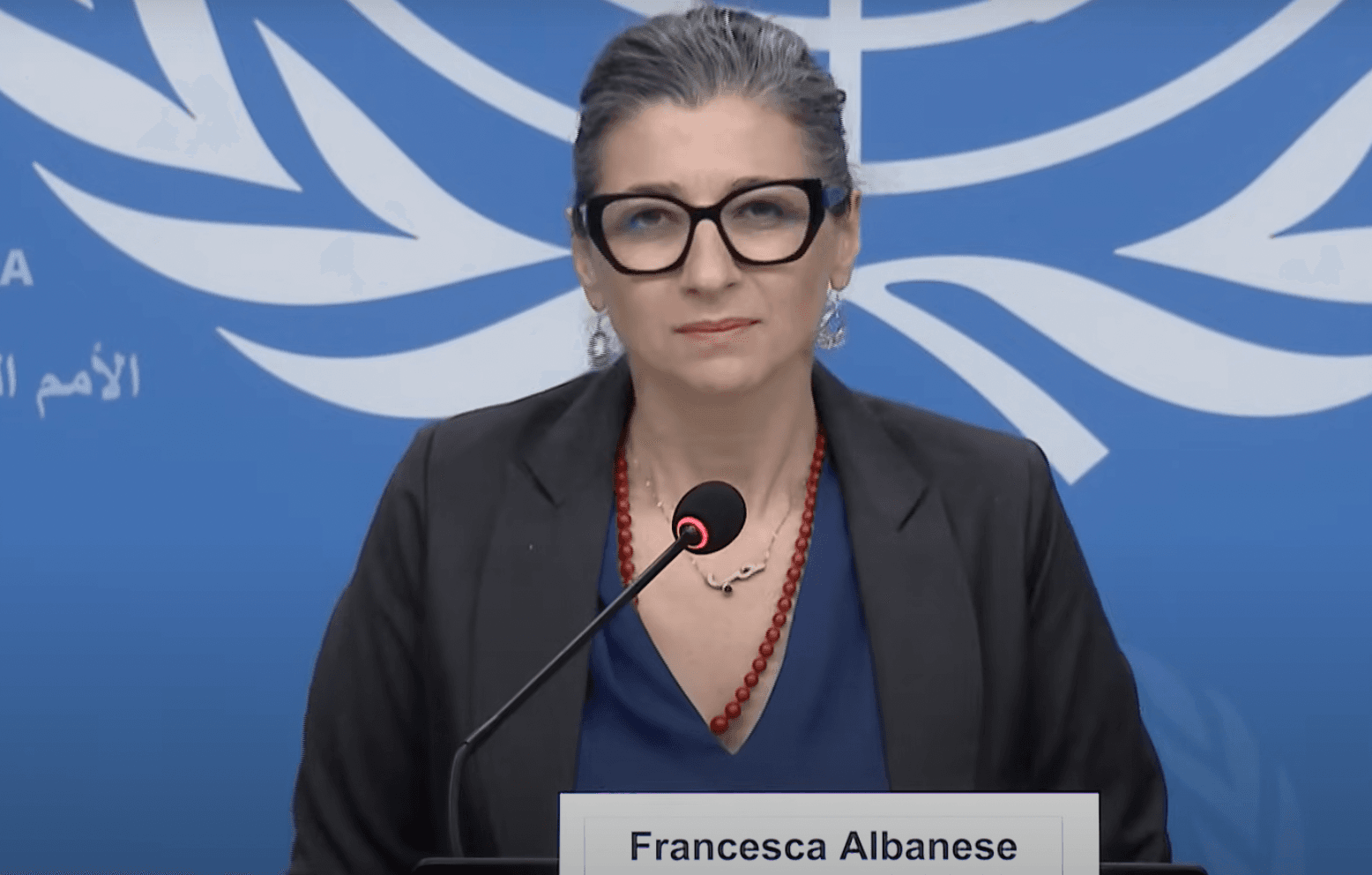 UN Special Rapporteur to the West Bank and Gaza Strip, Francesca Albanese. 