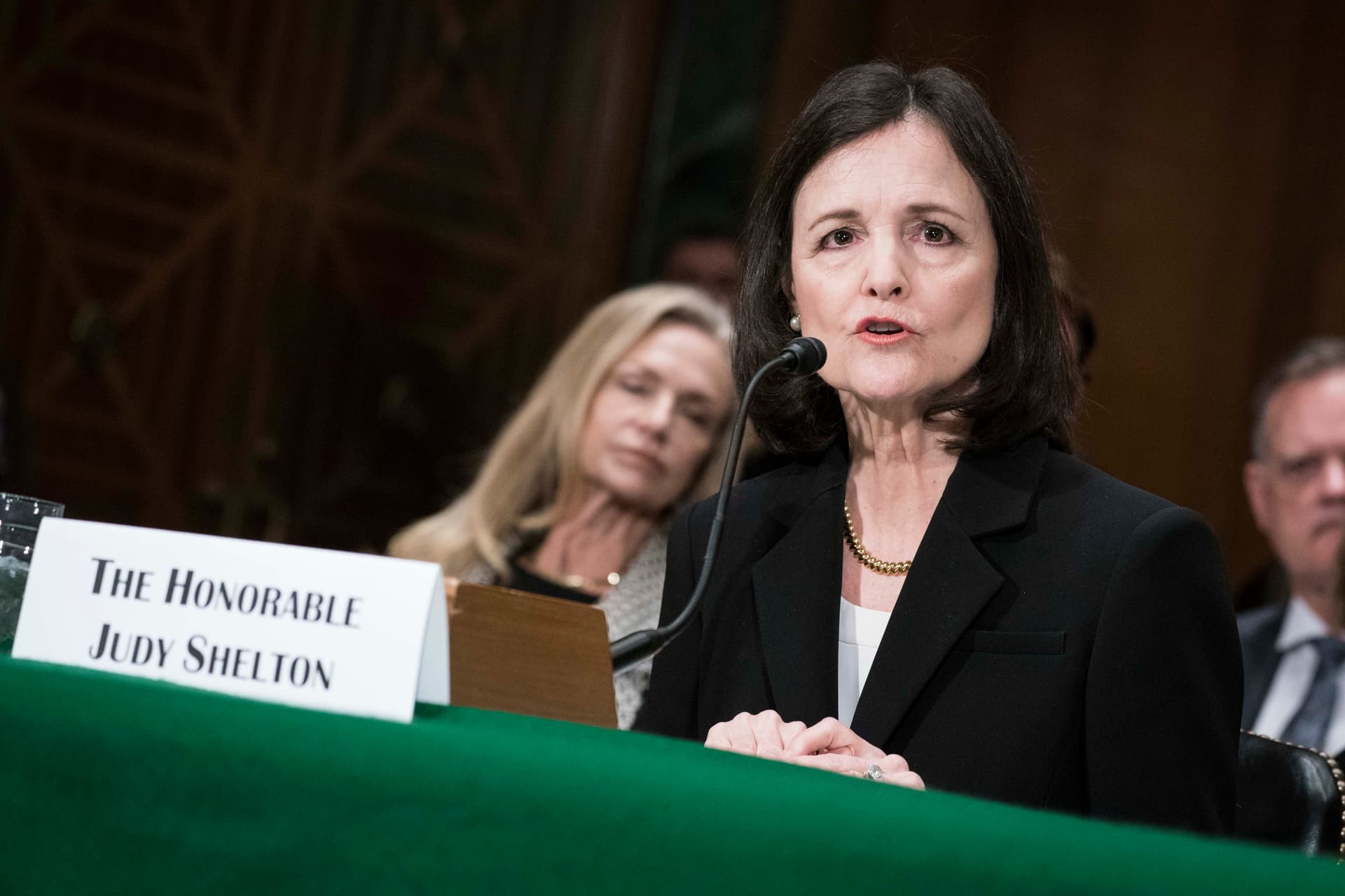 Economist Judy Shelton on February 13, 2020 at Washington, D.C.