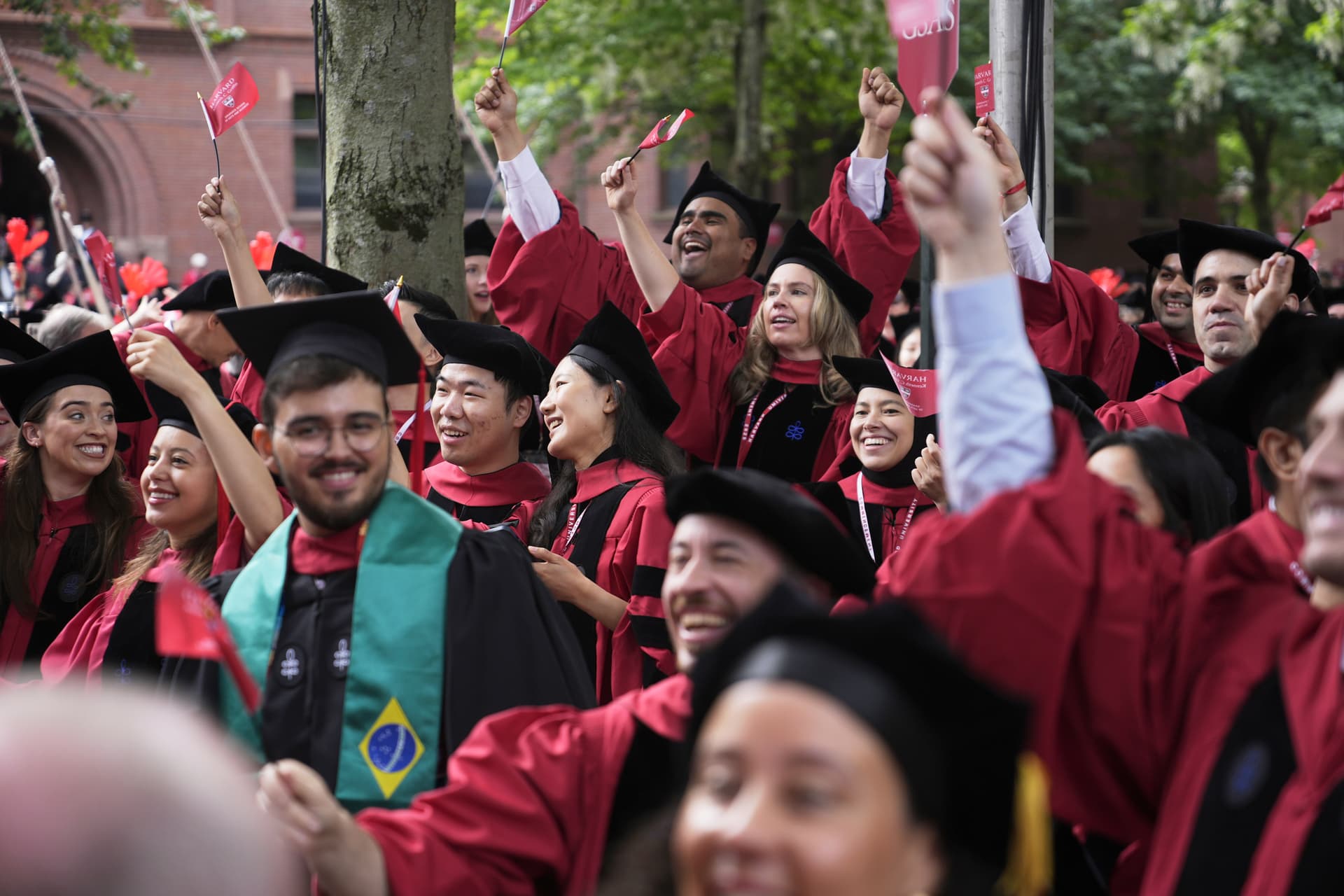 Students cheer during Harvard University's commencement ceremonies, May 29, 2025.
