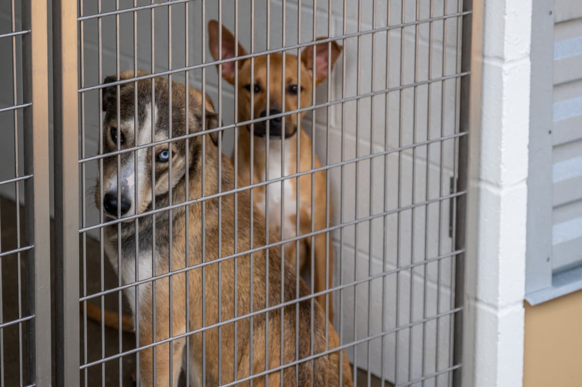 Brandon Bell/Getty Images