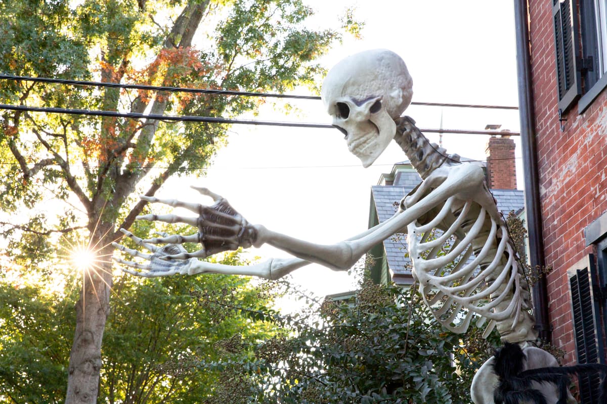 Jena Ardell/Getty Images