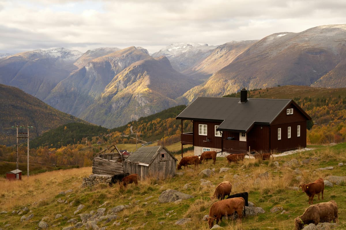Barnabas Davoti via Pexels.com