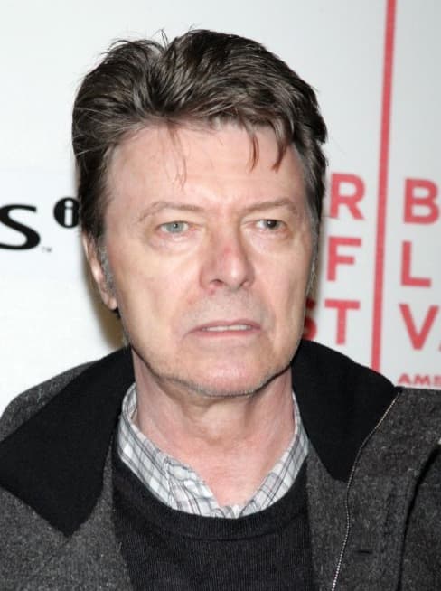 David Bowie at the Tribeca Film Festival