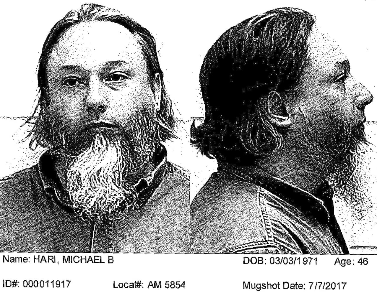 July 2017 booking photo of Michael Hari.