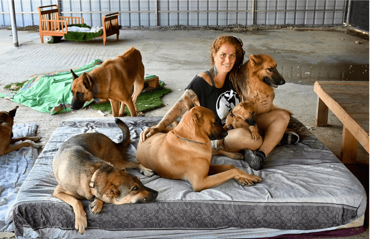 Animal advocate Inbal Kessem sits with rescued animals at Shanti Farm.