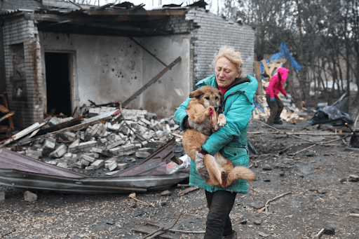 Dogs are evacuated after a Russian strike hit a dog shelter in Zaporizhzhia, Ukraine on February 6. 2026.