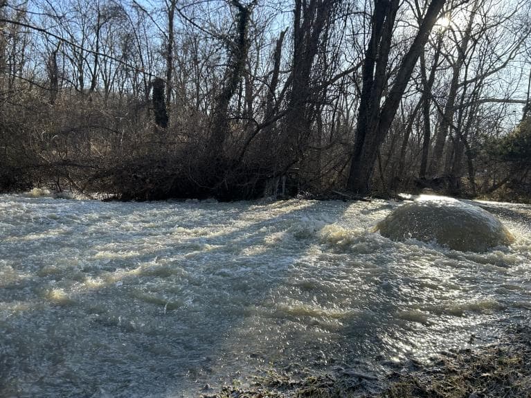 A section of the 54-mile sewer line of the Potomac Interceptor wastewater treatment infrastructure collapsed in Montgomery County, Maryland, on January 19, 2026, spewing millions of gallons of sewage into the C&O Canal National Historical Park that leads to the Potomac River.