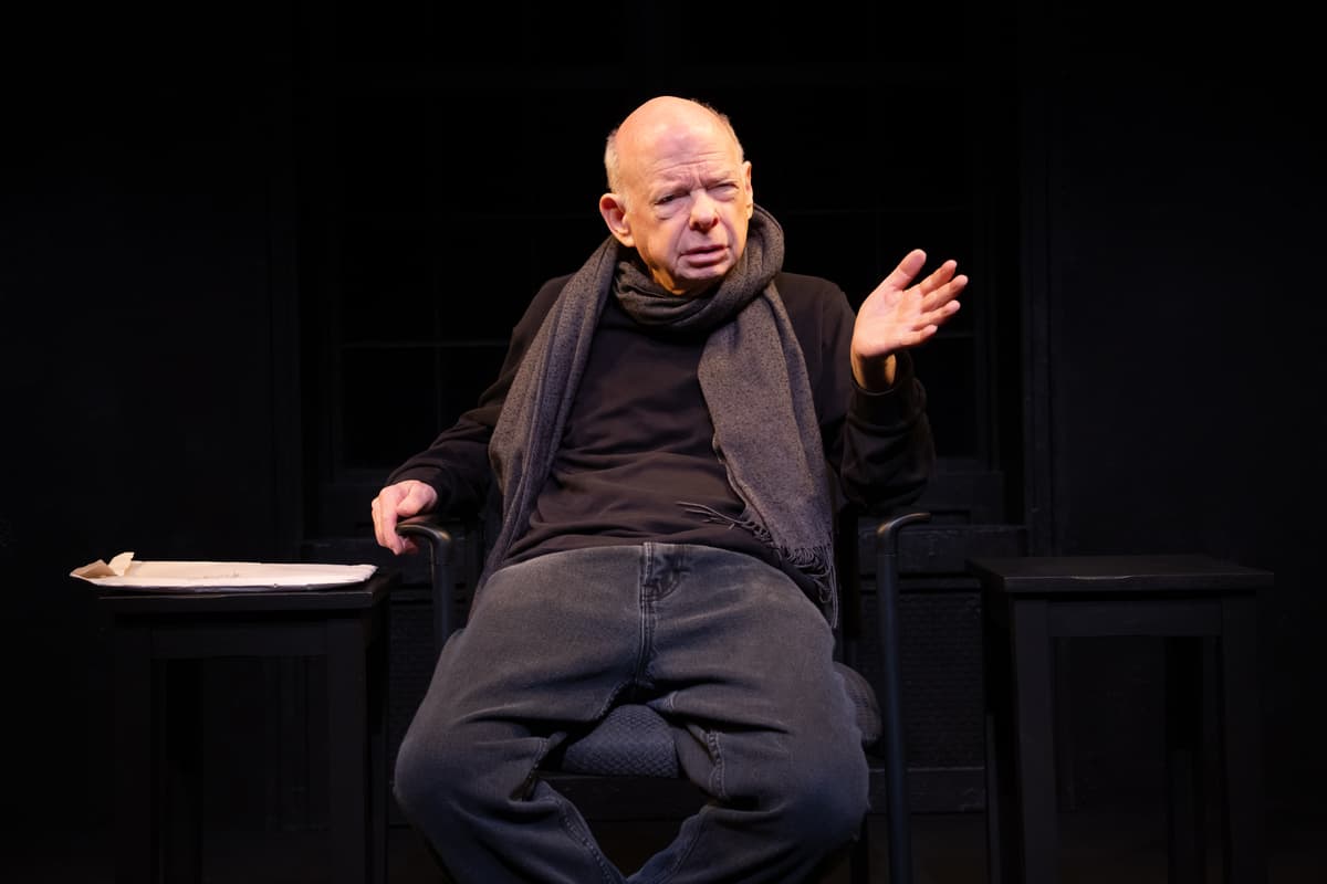 Wallace Shawn in 'The Fever.'