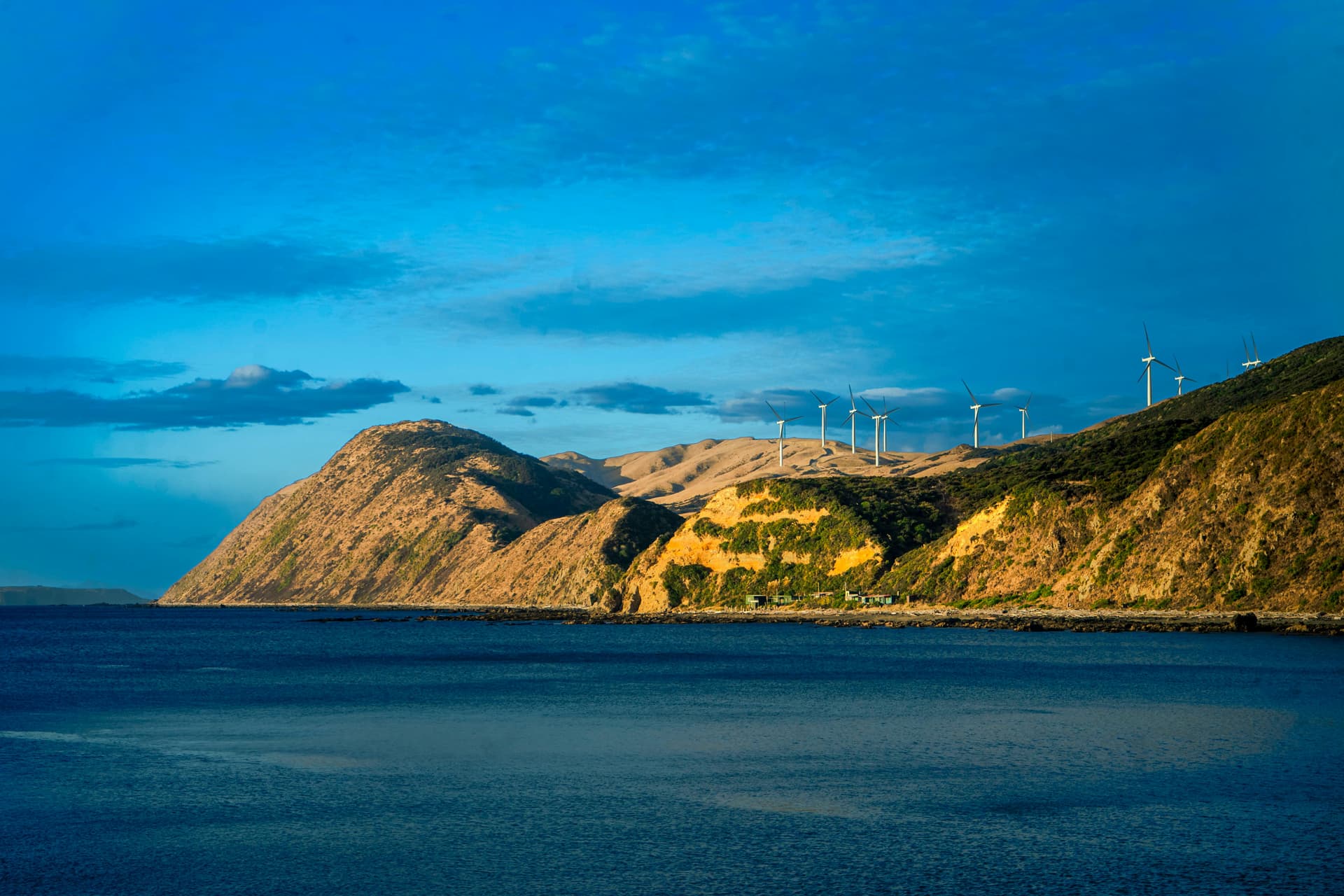 Wind turbines along Wellington's coast in New Zealand.