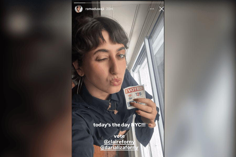 Rama Duwaji shares a social media endorsement of progressive candidates without Brad Lander. 