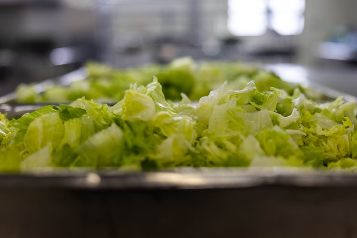 Buckets of lettuce 