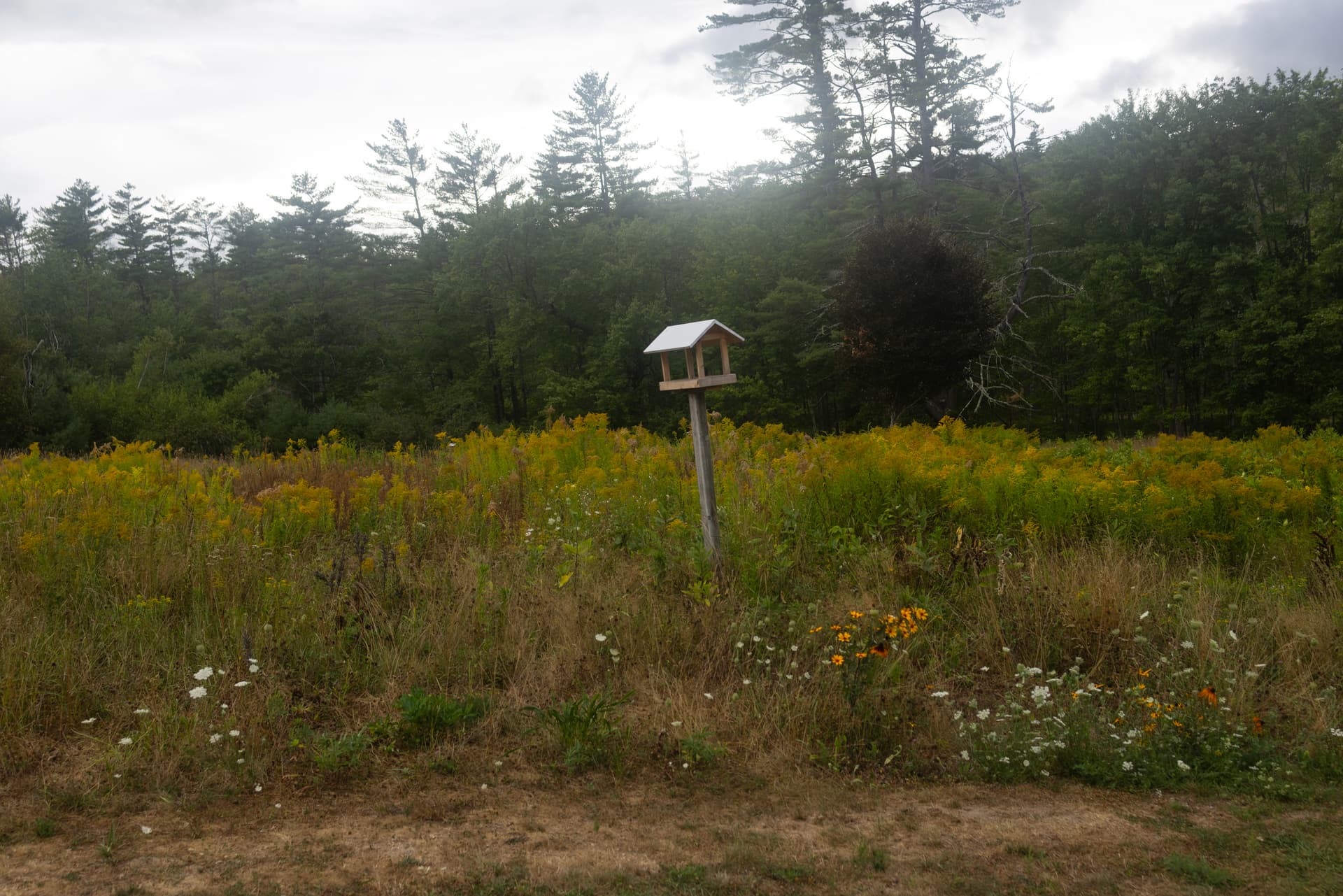 A birdhouse decorates a homeowner’s field at Lovell, Maine, on August 17, 2025.