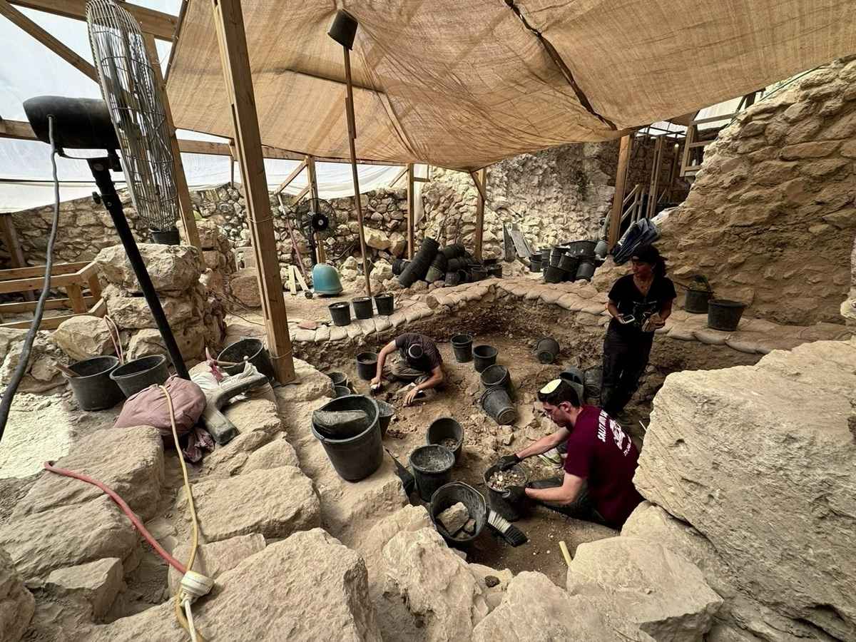 Archeologists say the massive wooden beams found at the City of David were burned during the destruction of the First Temple in 586 BCE. 