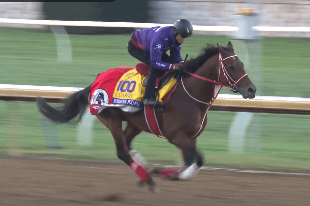 Breeders’ Cup Classic favorite Forever Young works out at Keeneland Race Course at Lexington, Kentucky, in late October 2026.