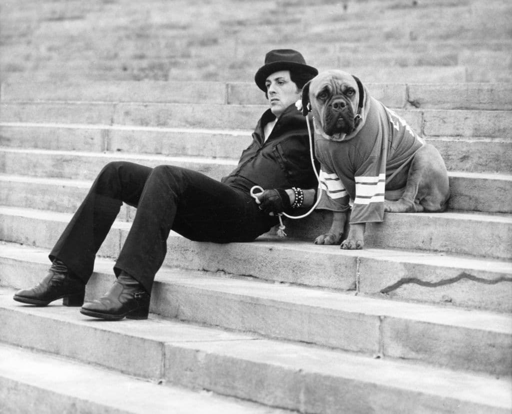 Sylvester Stallone and his dog in 'Rocky.'