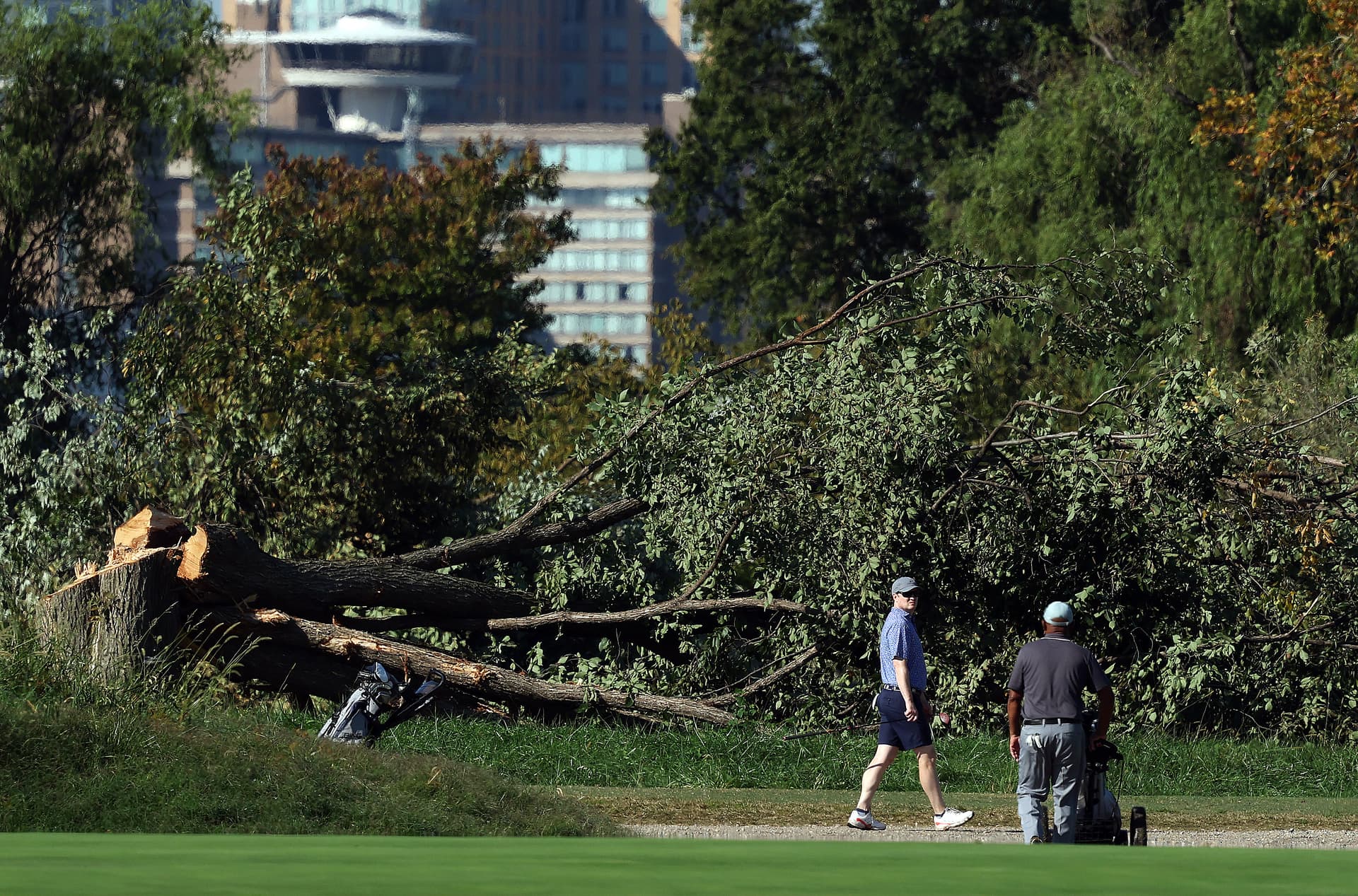 Golfers walk to a green in front of newly felled trees at Washington D.C.’s East Potomac Golf Course on October 13, 2026. 