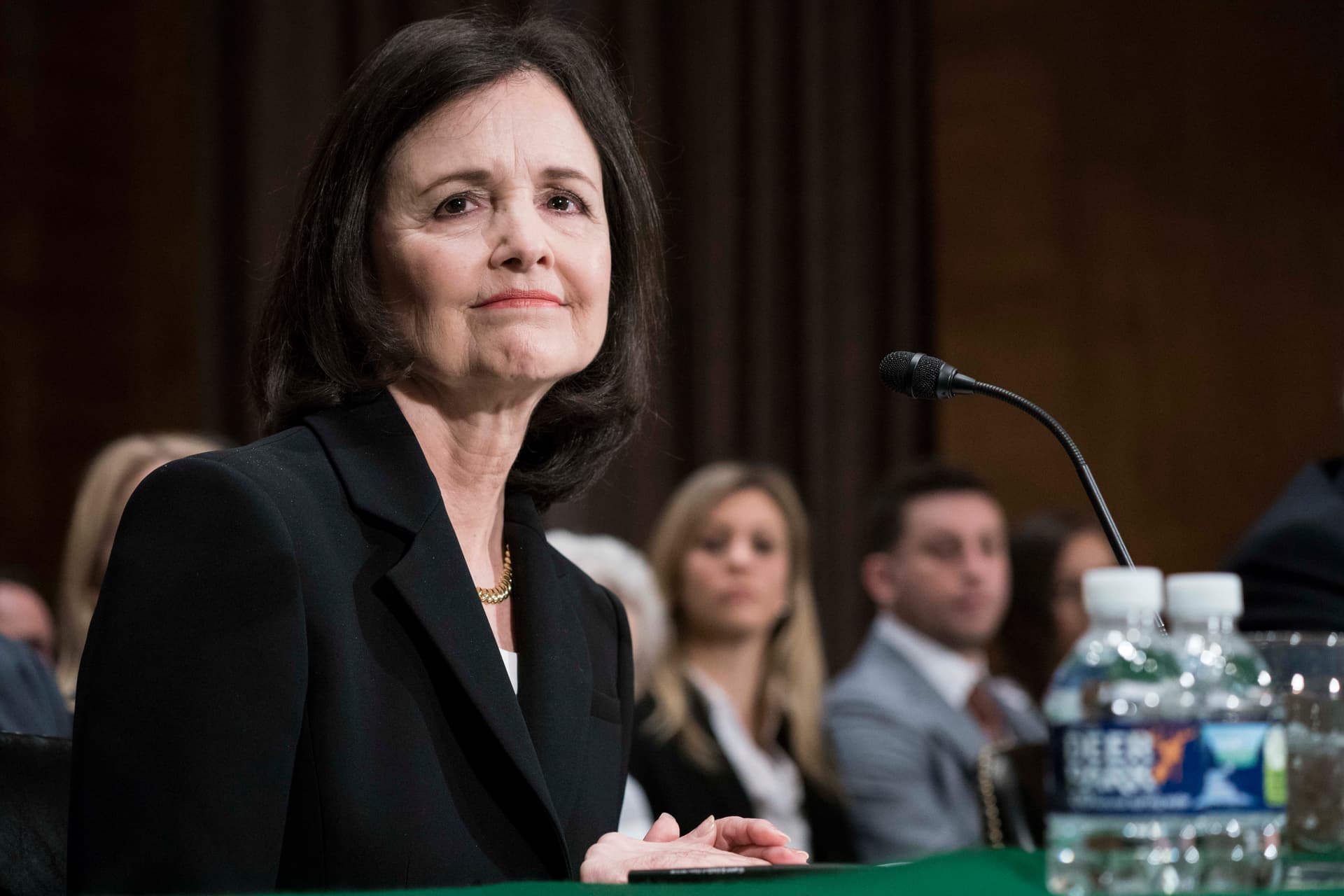 Judy Shelton testifies before the Senate Banking, Housing, and Urban Affairs Committee on February 13, 2020.