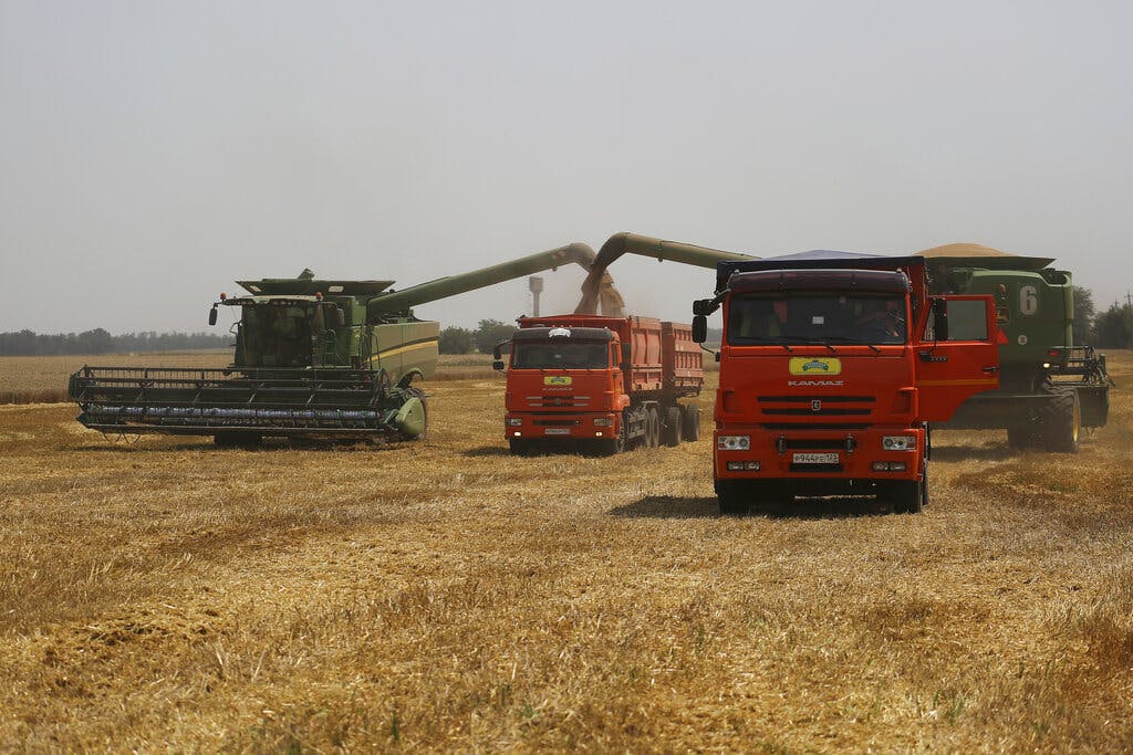 Farmers harvest wheat near the village of Tbilisskaya, Russia. AP Photo/Vitaly Timkiv, File