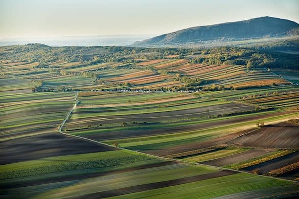 View of Spitzerberg. Herbert Lehmann