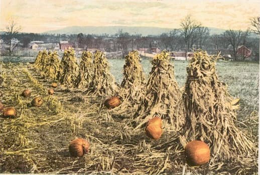 NYPL via Wikimedia Commons