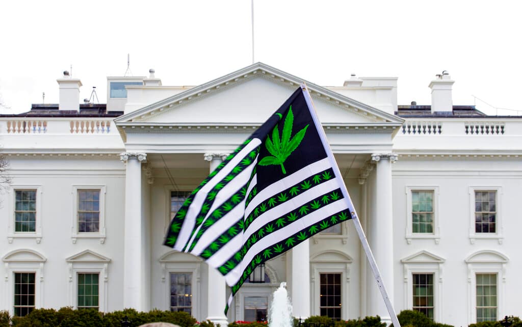 AP/Jose Luis Magana, file A demonstrator waves a flag with marijuana leaves outside of the White House on April 2, 2016.