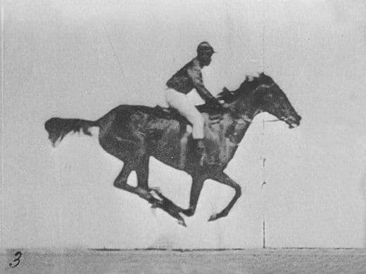 Via Film at Lincoln Center