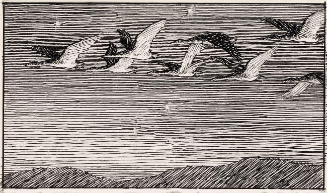 Via Wikimedia Commons