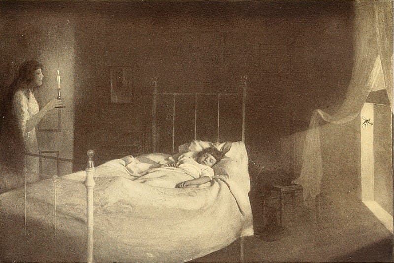 Via Wikimedia Commons