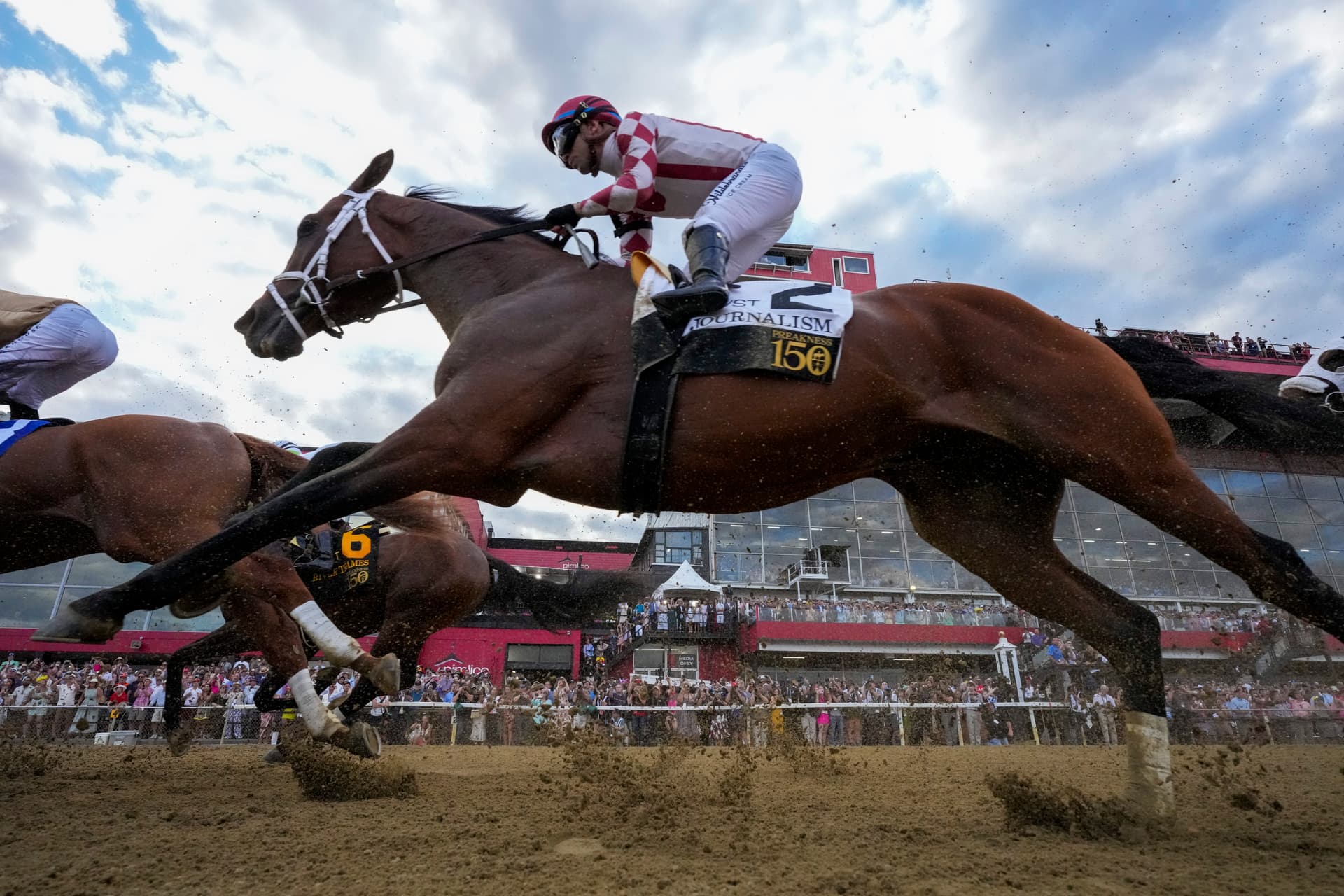 AP/Stephanie Scarbrough Umberto Rispoli, atop Journalism, participates in the 150th running of the Preakness Stakes horse race on May 15, 2025, at Pimlico racetrack at Baltimore, Maryland.