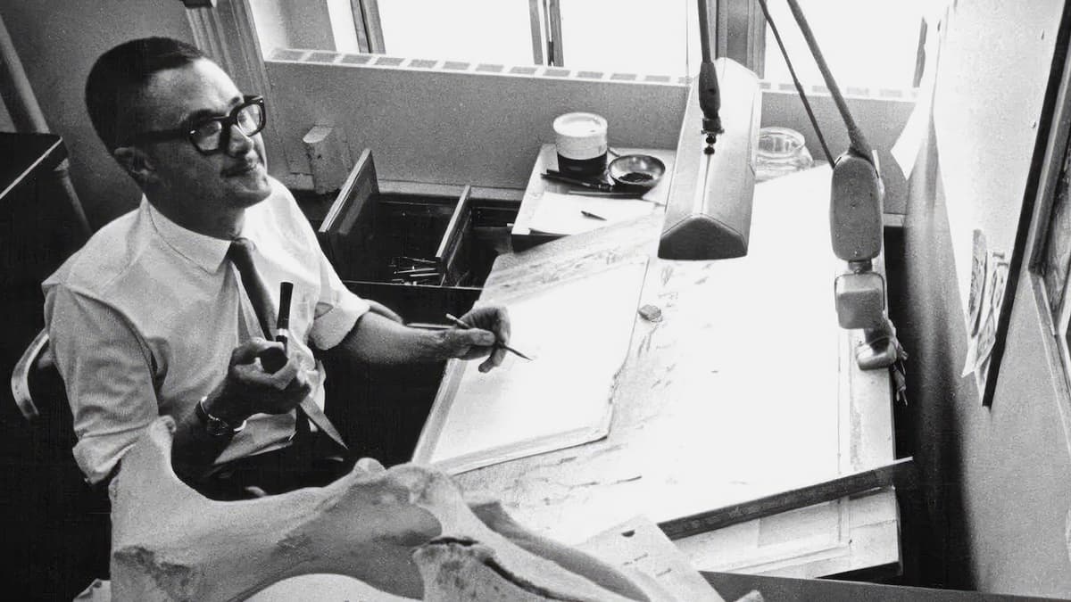 Via Magnolia Pictures