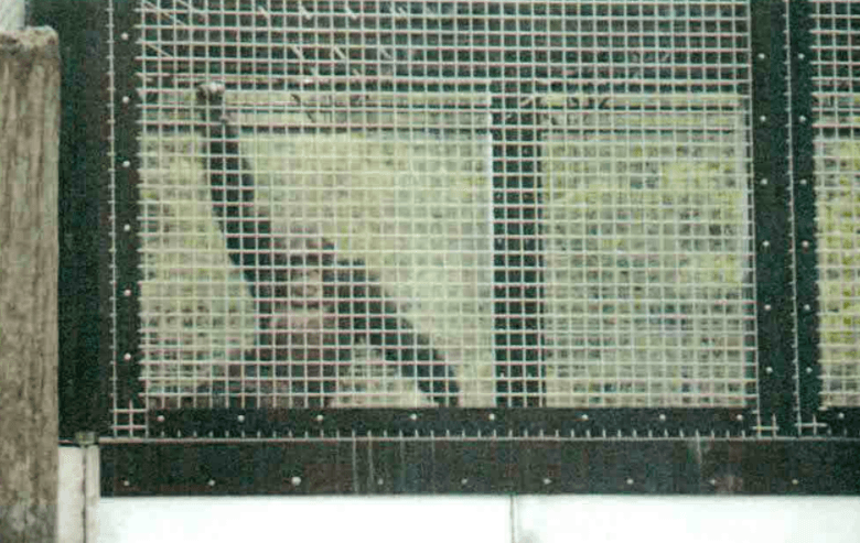 Via Nonhuman Rights Project