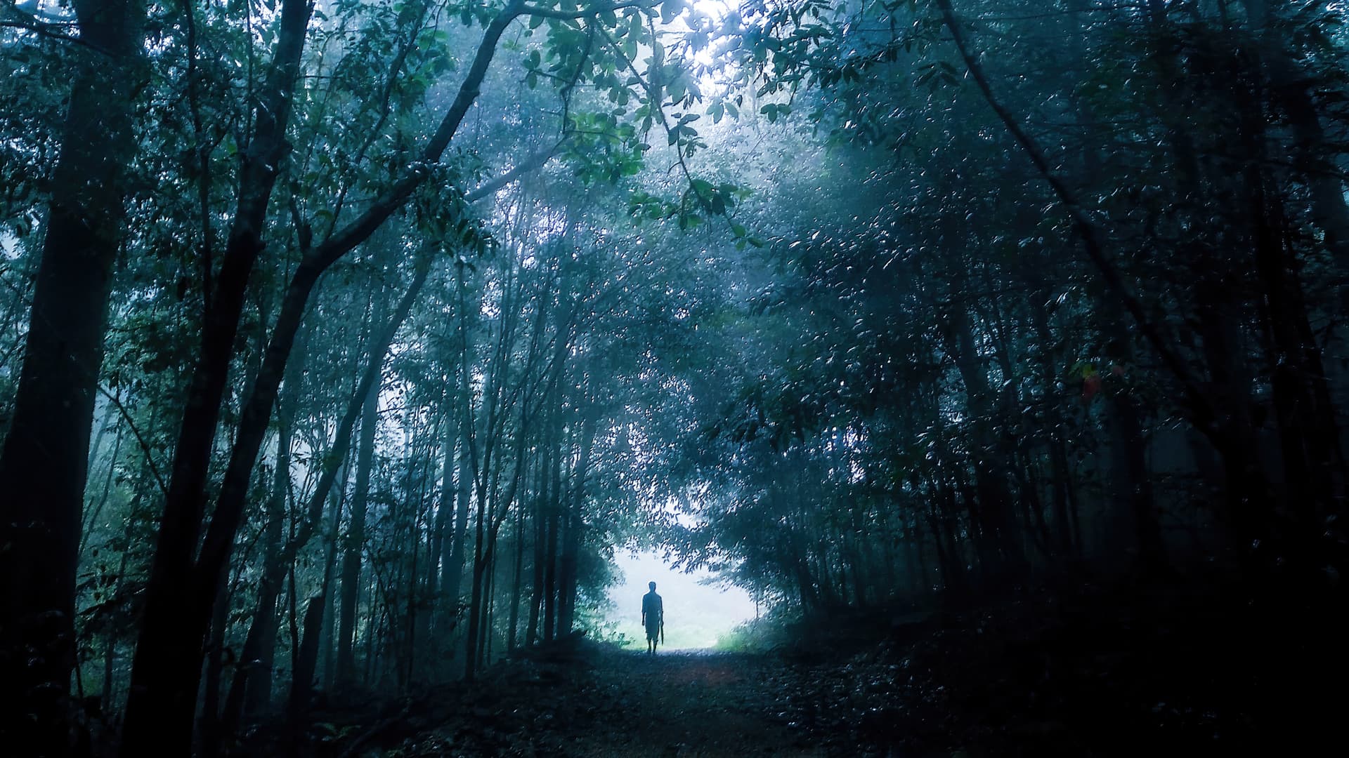 Amith Nag Photography/Getty Images.