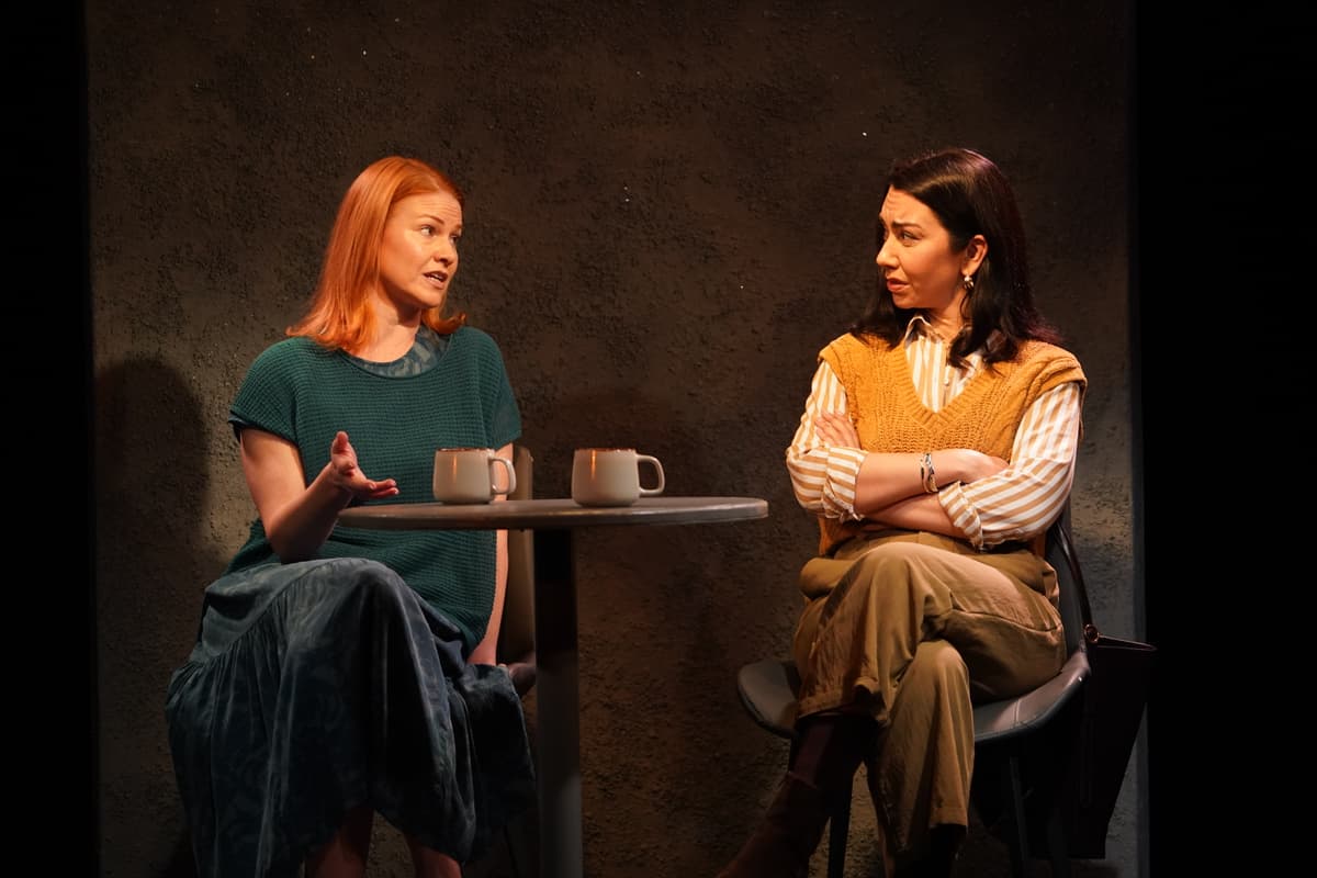 Carol Rosegg Kate MacCluggage and Danielle Ryan in 'The Approach.'
