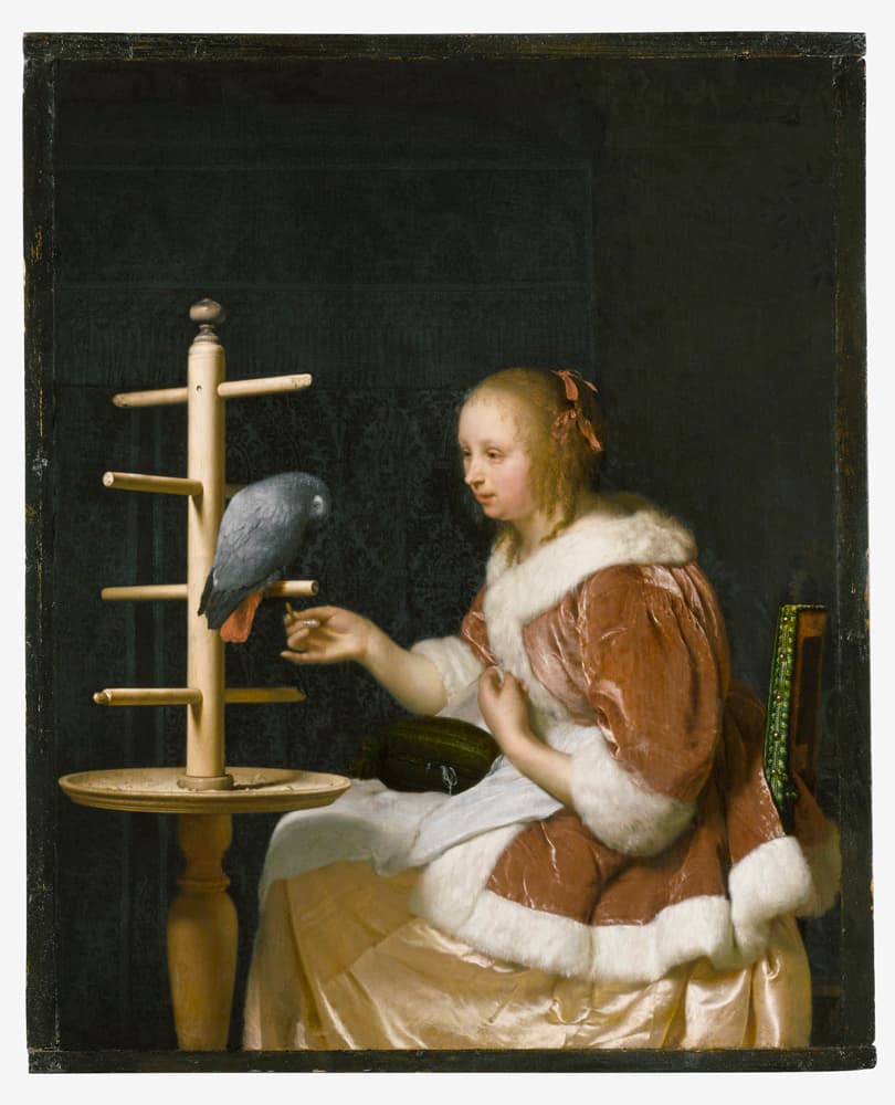 Leiden Collection, New York 'Young Woman Feeding a Parrot,' by Frans van Mieris, 1663. Detail.