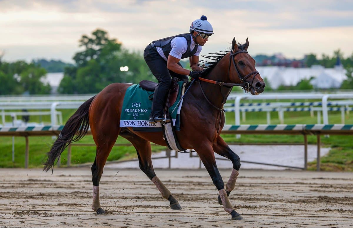 Via X Iron Honor, the early betting favorite heading into the 151st Preakness Stakes, is seen during a morning workout at Laurel Park, Maryland, on May 12, 2026.