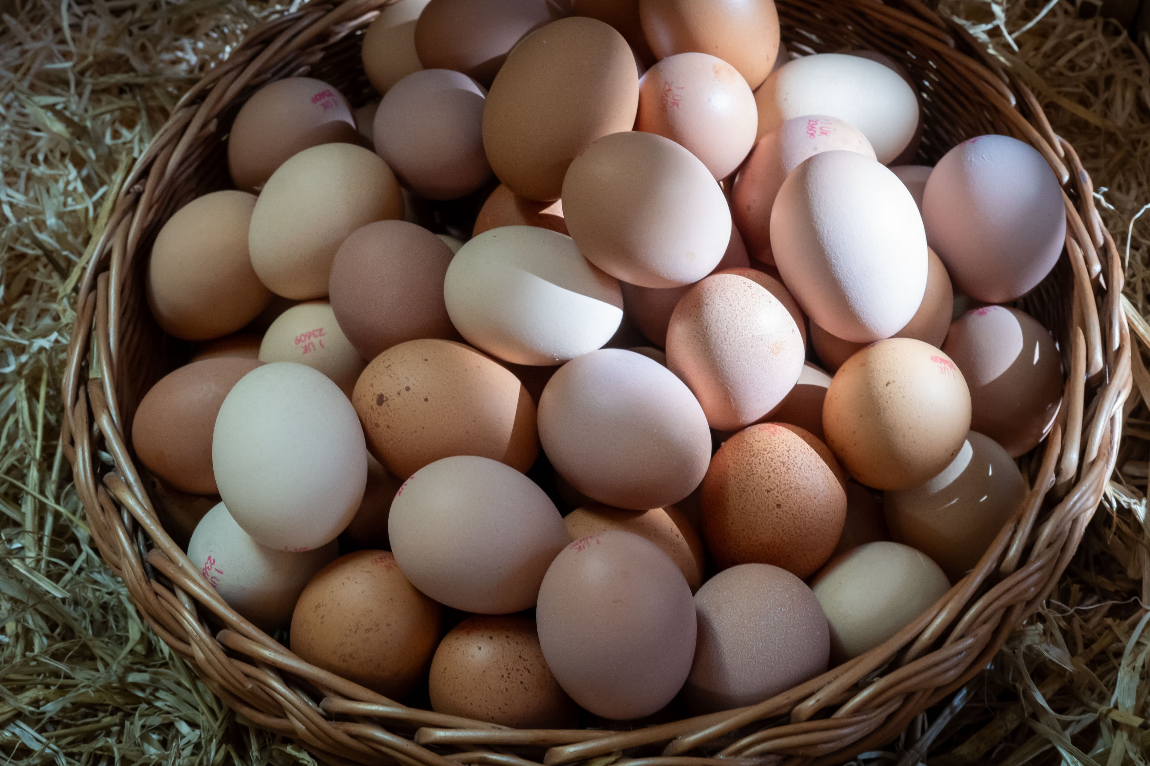 Both brown and white eggs are seen in a basket in a farm shop at Cardiff, Wales, on April 9, 2025. Both brown and white eggs are seen in a basket in a farm shop at Cardiff, Wales, on April 9, 2025.