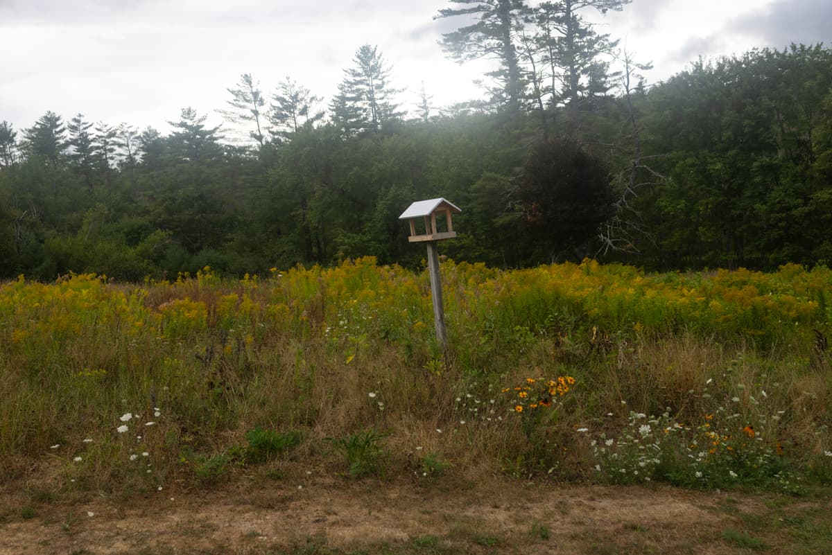 Andrew Lichtenstein/Corbis via Getty Images A birdhouse decorates a homeowner’s field at Lovell, Maine, on August 17, 2025.