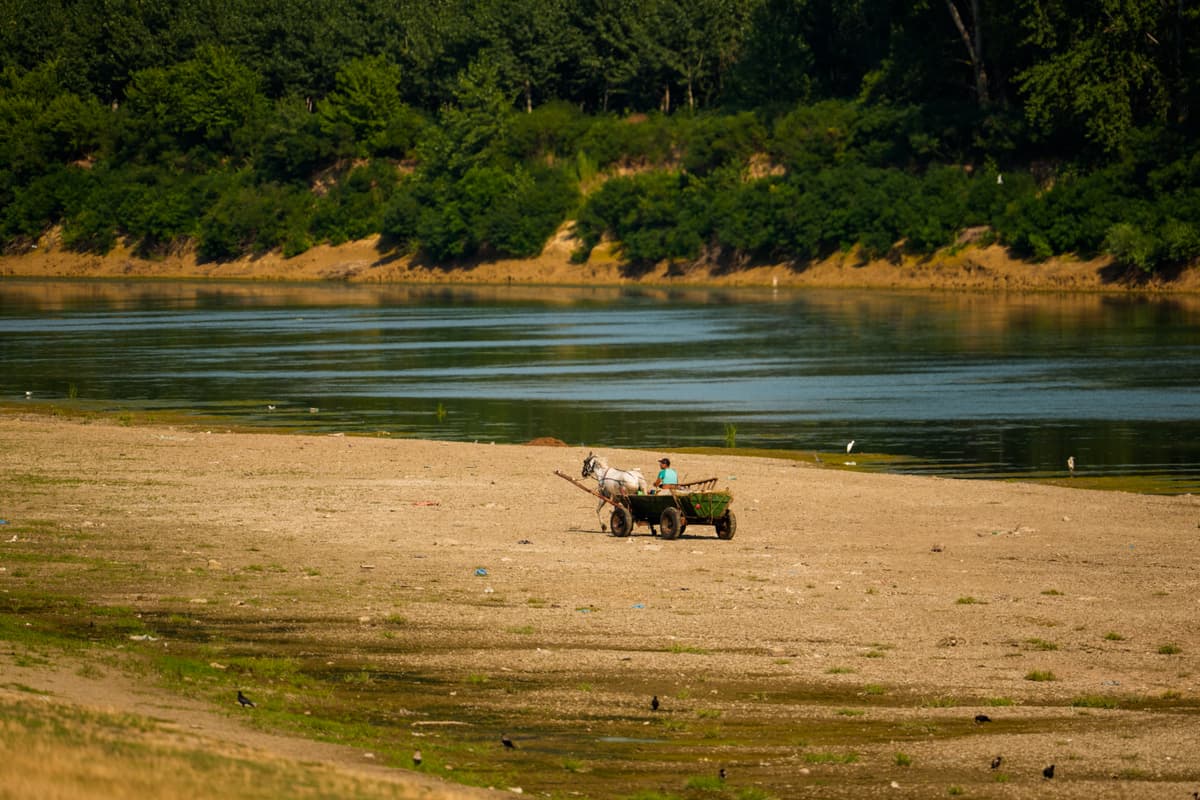 Andreea Alexandru/AP A man drives his horse-pulled cart on a Danube River sandbank exposed by record low water levels at Roseti, Romania, on July 29, 2026.