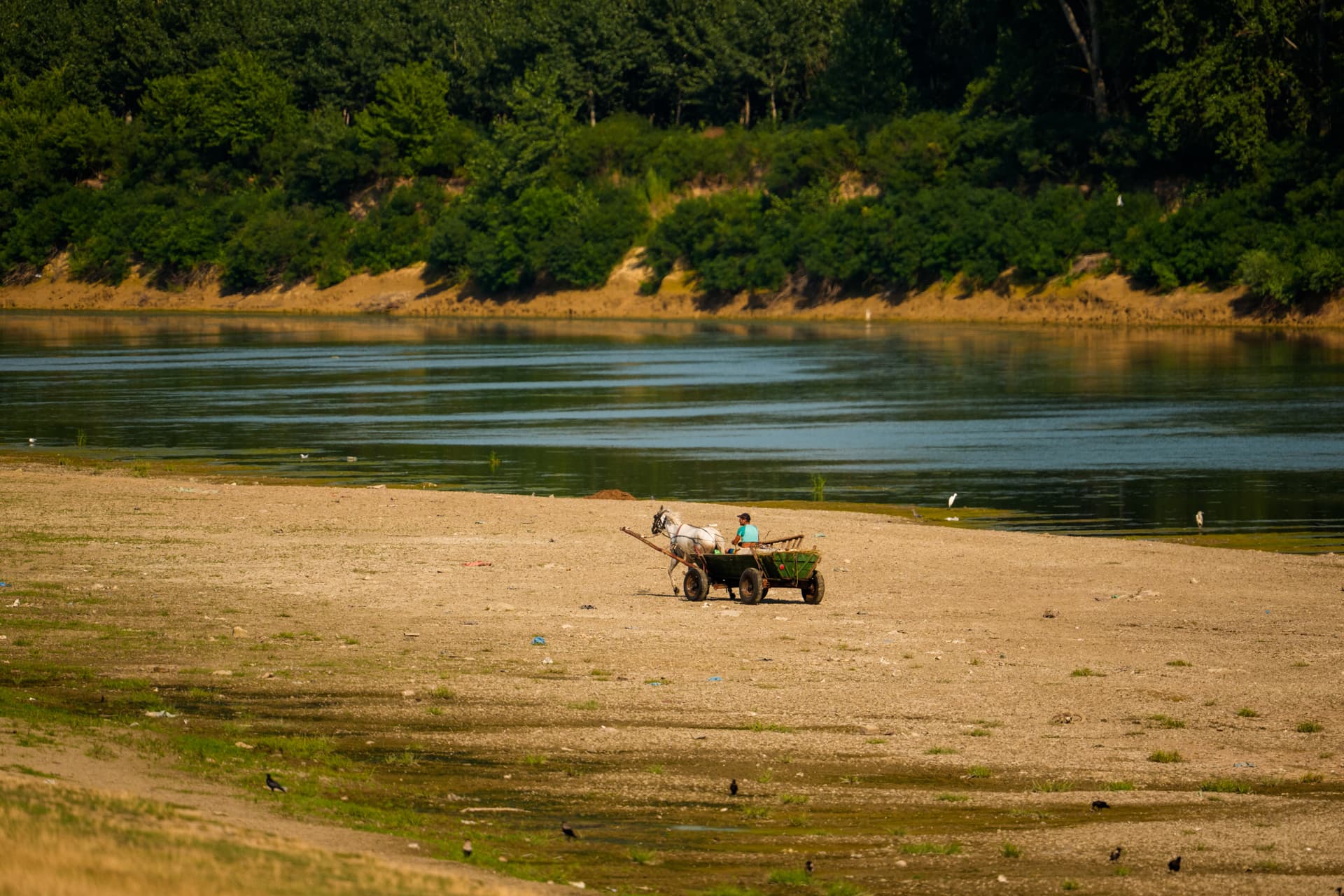 Andreea Alexandru/AP A man drives his horse-pulled cart on a Danube River sandbank exposed by record low water levels at Roseti, Romania, on July 29, 2026.