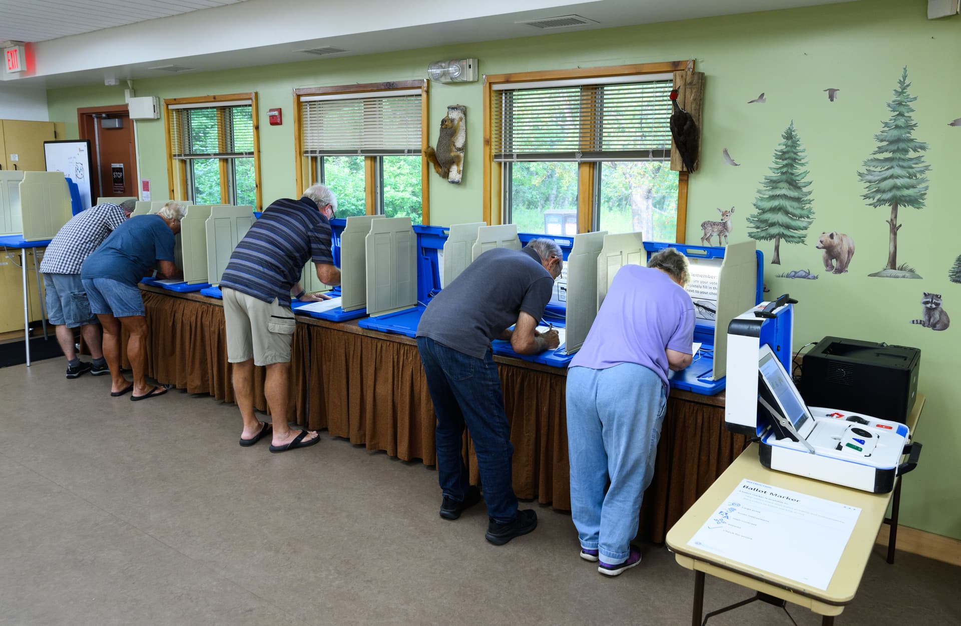 Stephen Maturen/Getty Images Voters fill out their ballots at a polling place at White Bear Township, Minnesota, on August 11, 2026.
