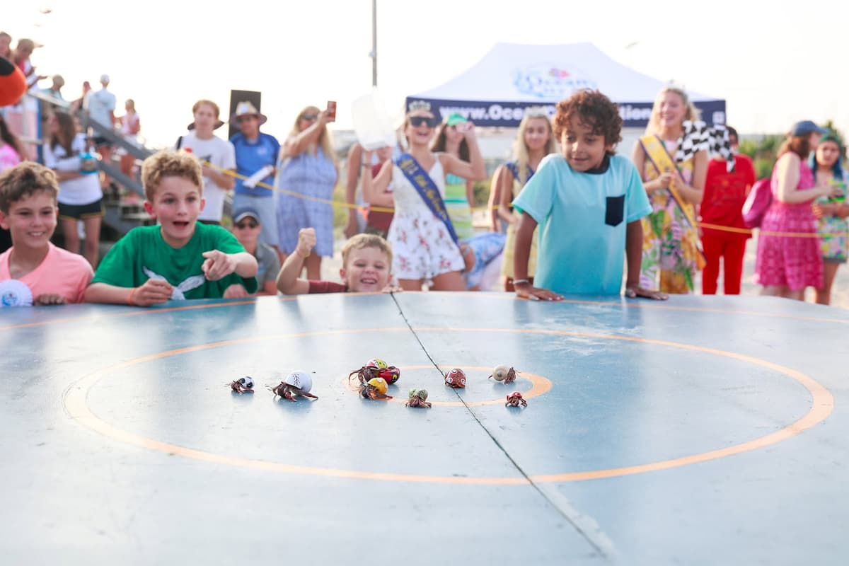 Via Facebook People for the Ethical Treatment of Animals is urging the town of Ocean City, New Jersey, to modify its Miss Crustacean Pageant and Hermit Crab Races scheduled for August 19.