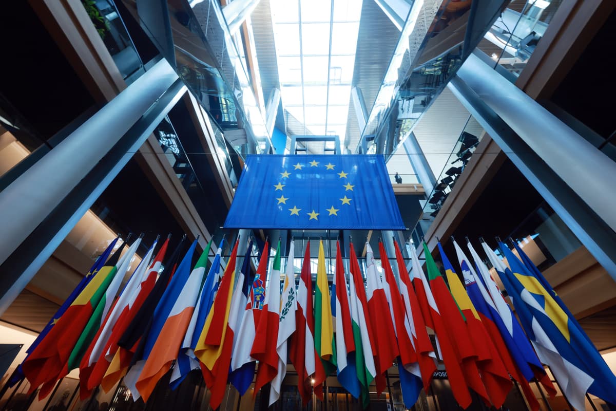 Johannes Simon/Getty Images Flags of member states of the European Union stand in an atrium of the European Parliament building in Strasbourg, France.