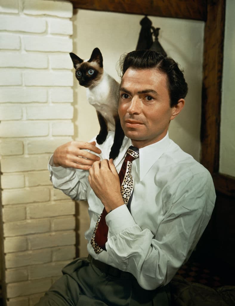 Via Hulton Archive/Getty Images James Mason with a siamese cat, circa 1945.