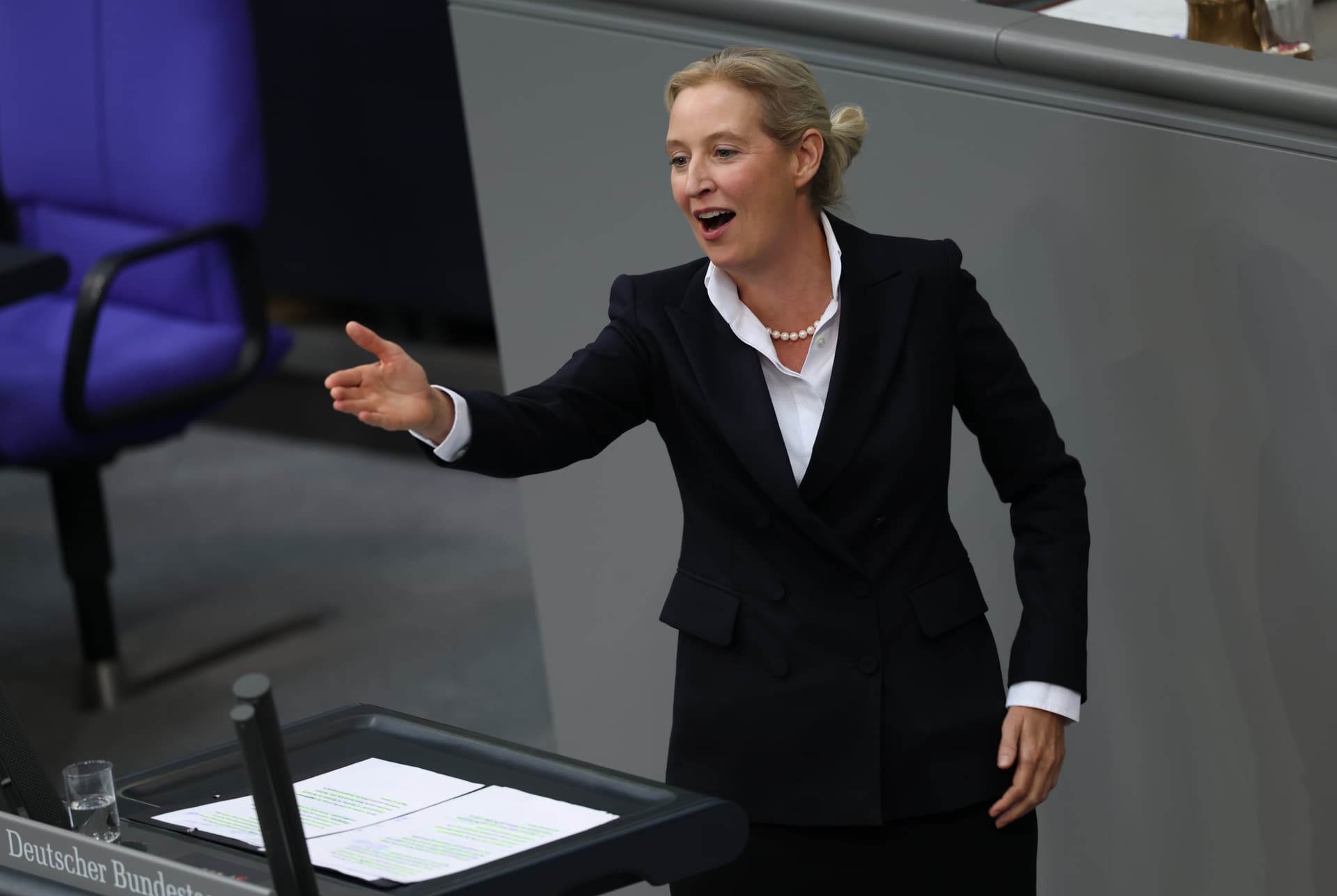 Sean Gallup/Getty Images The co-leader of the rightist Alternative for Germany, Alice Weidel, on October 14, 2026 at Berlin.